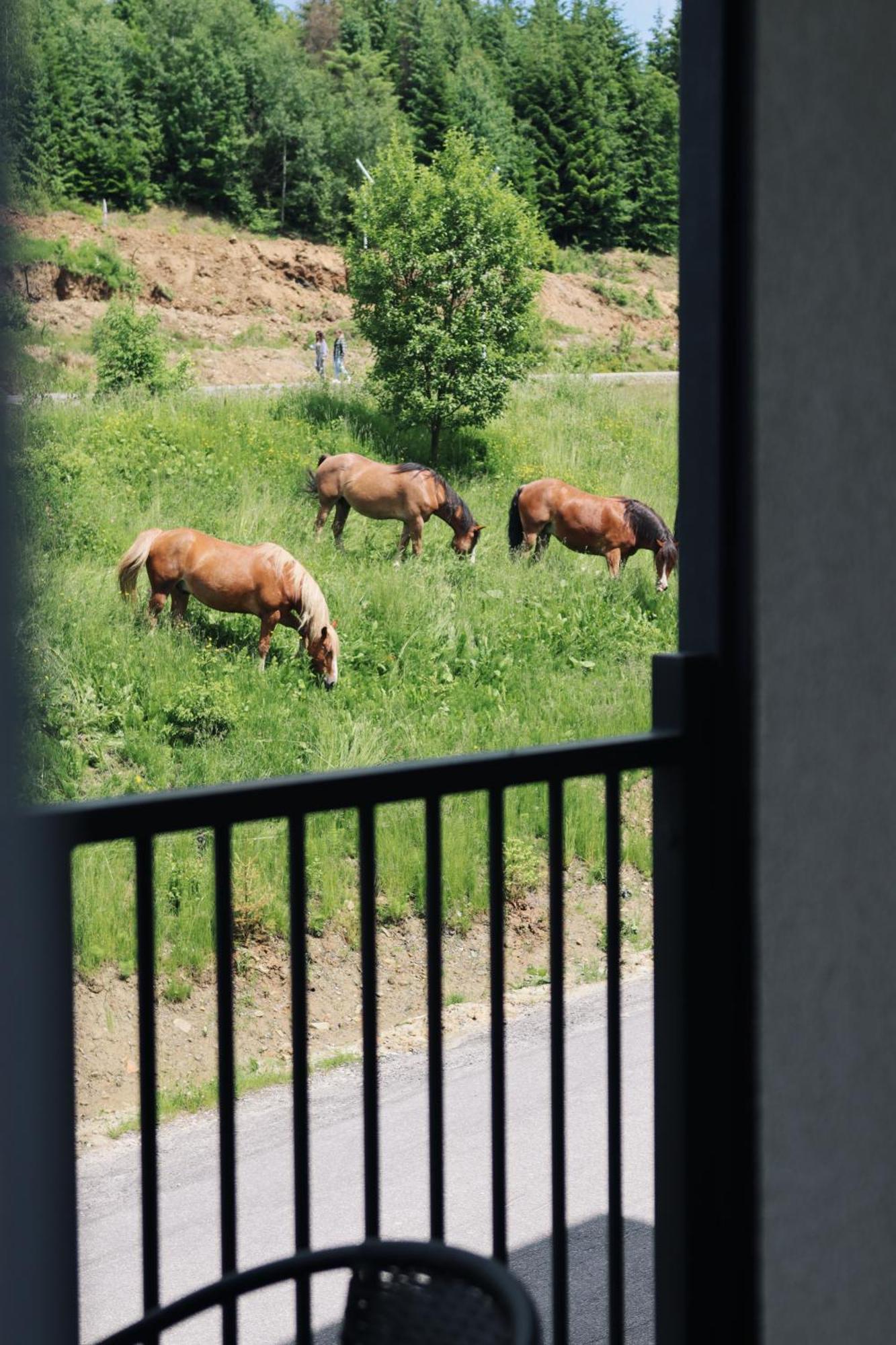 Vilson Hotel Bukovel Kültér fotó